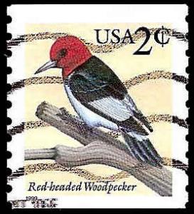# 3045 USED RED-HEADED WOODPECKER
