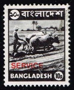 Bangladesh #O17 Farmer Plowing with Oxen; Used