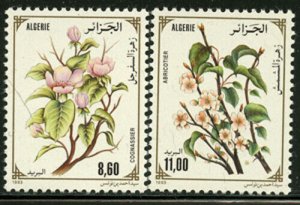 Algeria 1993 Flowering Trees set Sc# 979-81 NH