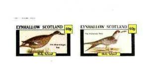 Eynhallow 1982 Birds #27 (Teal & Tern) imperf set of ...