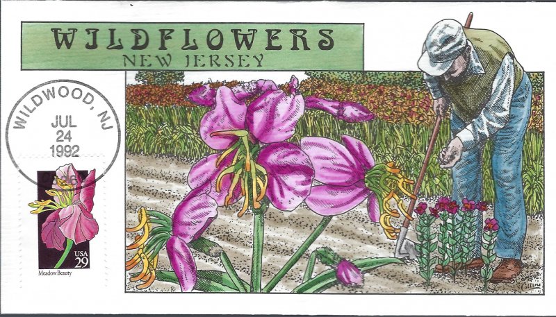 Collins Designed/Hand Painted Vibrant New Jersey Wildflowers FDC!!