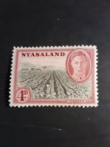 *Nyasaland #73                     MH