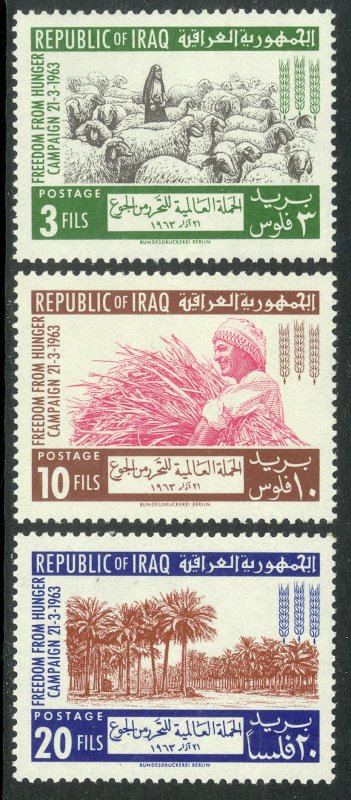 IRAQ 1962 FAO Freedom From Hunger Set Sc 314-316 MNH