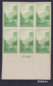 BOBPLATES US #756 Yosemite Huge Bottom Plate Block 21248 XF NH SCV= $4.5 *