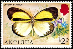 ANTIGUA Sc 387 MNH 1975 ½¢ Butterfly - Eurema Elathea - Fresh!