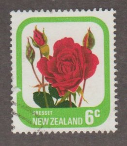 589a red roses