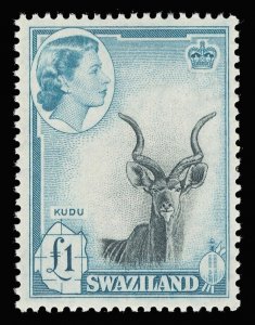 Swaziland 1956 QEII £1 black & turquoise-blue superb MNH. SG 64. Sc 66.