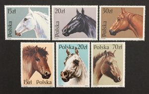 Poland 1989 #2894-9, Wholesale lot of 5, Horses, MNH, CV $10.50