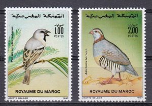 Morocco, Fauna, Birds MNH / 1988