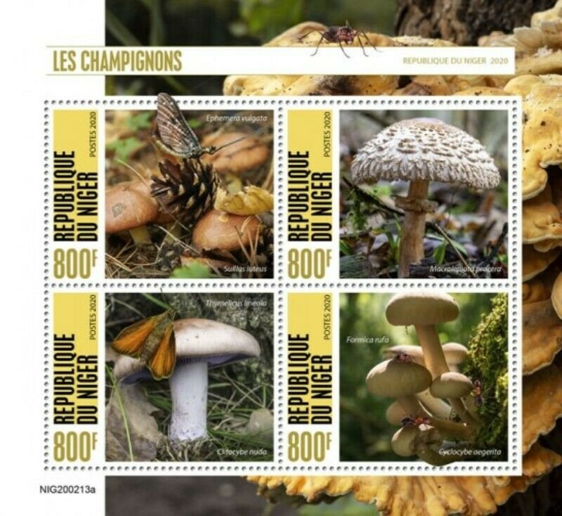 Niger - 2020 Mushrooms and Insects - 4 Stamp Sheet - NIG200213a