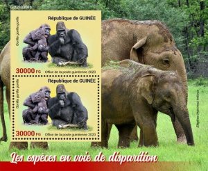 Guinea Wild Animals Stamps 2020 MNH Endangered Gorillas Elephants 2v S/S + IMPF