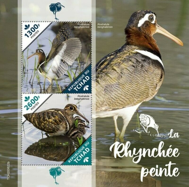 Chad - 2020 Greater Painted-Snipe Birds - 2 Stamp Souvenir Sheet - TCH200622b 