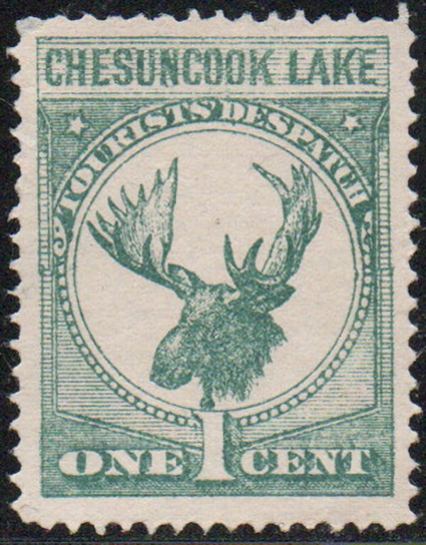 US #LOCAL Chesuncook LAKE, tourist stamp, VF mint no gum, fresh color, we are...