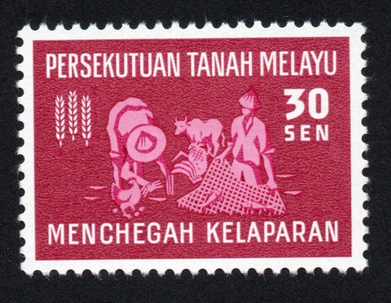 Malaya States - Federation Scott #111-112-113 Stamp - Mint NH Set