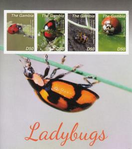 Gambia 2014 MNH Ladybugs 4v M/S II Insects Ladybirds Beetles Asian Lady Beetle