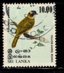 Sri Lanka #569 Yellow Eared Bulbul - Used