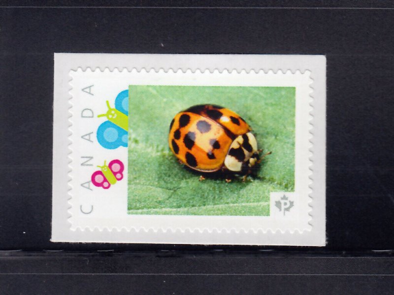 LADY BUG, BEETLE = insects Picture Postage stamp MNH Canada 2013 [p4f12/4]