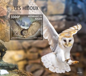 Niger 2019 MNH Birds on Stamps Owls Great Grey Owl Barn Owl 1v S/S