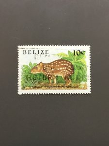 Belize 910 F-VF Used postally. Scott $ 4.00