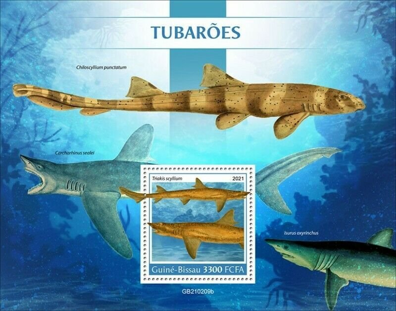 Guinea-Bissau - 2021 Sharks, Banded Houndshark - Stamp Souvenir Sheet GB210209b