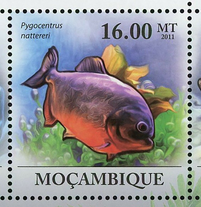 Piranhas Stamp Fish Pygocentrus Nattereri Serrasalmus Manueli S/S MNH #4287-4292