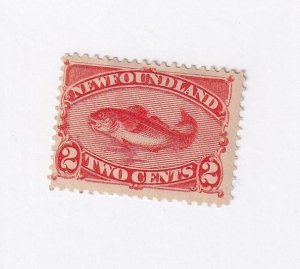 NEWFOUNDLAND # 46 MLH 2cts COD FISH CAT VALUE $120 (REF55TT22D)