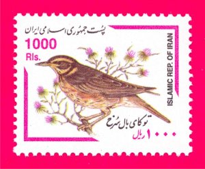 IRAN 2000 Nature Fauna Birds 1v Mi2845 MNH