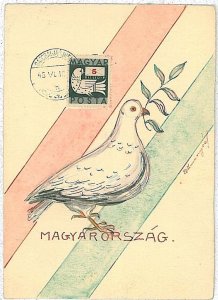 14734 - HUNGARY - MAXIMUM CARD - HAND PAINTED: BIRDS - PEACE-