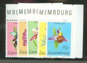 Luxembourg #B303-07 Mint (NH) Single (Complete Set)