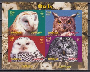 Somalia, 2003 Cinderella issue. Owls on an IMPERF sheet of 4.