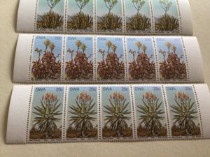 Aloe Plants South West Africa 1981 mint never hinged stamps strips A10475