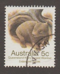 Australia 786 Wombat