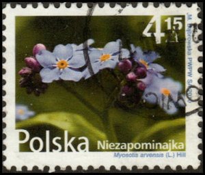 Poland 3986 - Used - 4.15z Field Forget-Me-Not (2010) (cv $2.70)