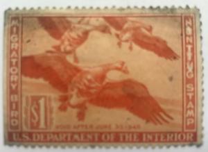 RW11 1944 US Duck Stamp Unsigned MH