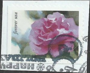 # 5731 Used Snowy Beauty