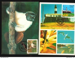 Brazil 2 different Maxi cards Maximum Monkey Ape Lighthouse (A_4269)