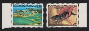 Fr. Polynesia Sea-water shrimp Aquaculture 1st series 2v 1980 MNH SG#322-323