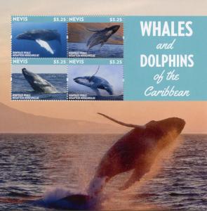 Nevis 2015 MNH Whales & Dolphins of Caribbean Humpback Whale 4v M/S Stamps