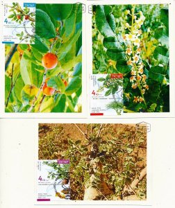 ISRAEL 2017 AROMATIC PLANTS SET OF 3 MAXIMUM CARDS 
