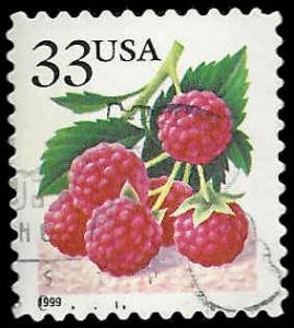 # 3295 USED RASPBERRIES