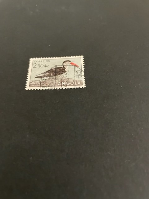 Angola sc 341 u