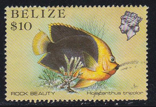 Belize # 714, Fish - Rock Beauty, Used. 1/3 Cat.