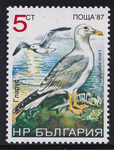 Bulgaria   #3328B   MNH  1988  birds  5s  Larus