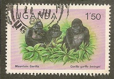 Uganda      Scott  285      Gorillas, Fauna    Used