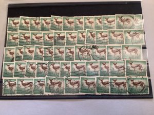 South Africa 1954 Antidocas Marsupialis Springbok Antelope used stamps R48670