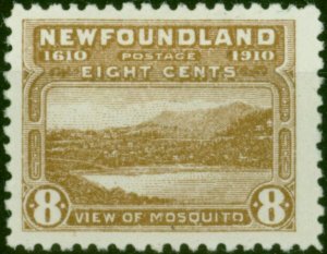 Newfoundland 1910 8c Bistre-Brown SG101 Fine MM