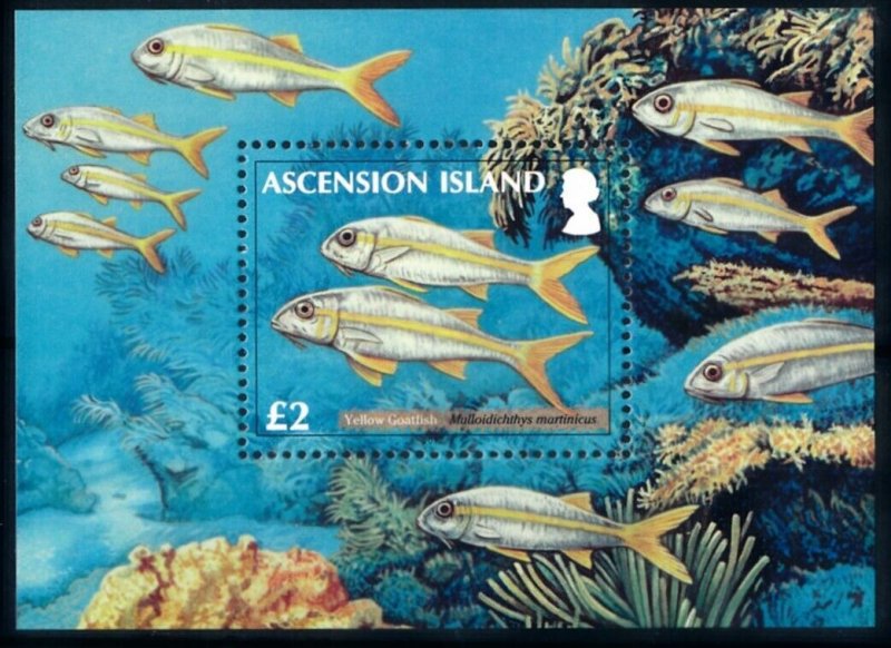 [66826] Ascension 2012 Marine life fish Yellow goatfish Souvenir Sheet MNH