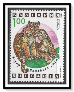Bulgaria #3739 Wild Cats MNH