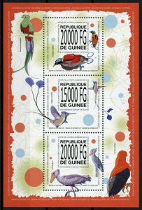 Guinea Birds on Stamps 2013 MNH Shoebill Hummingbirds Bird-of-Paradise 3v M/S