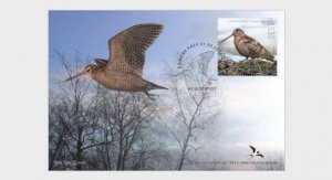 Estonia 2022 Bird Of The Year The Eurasian Woodcock Omniva stamp FDC